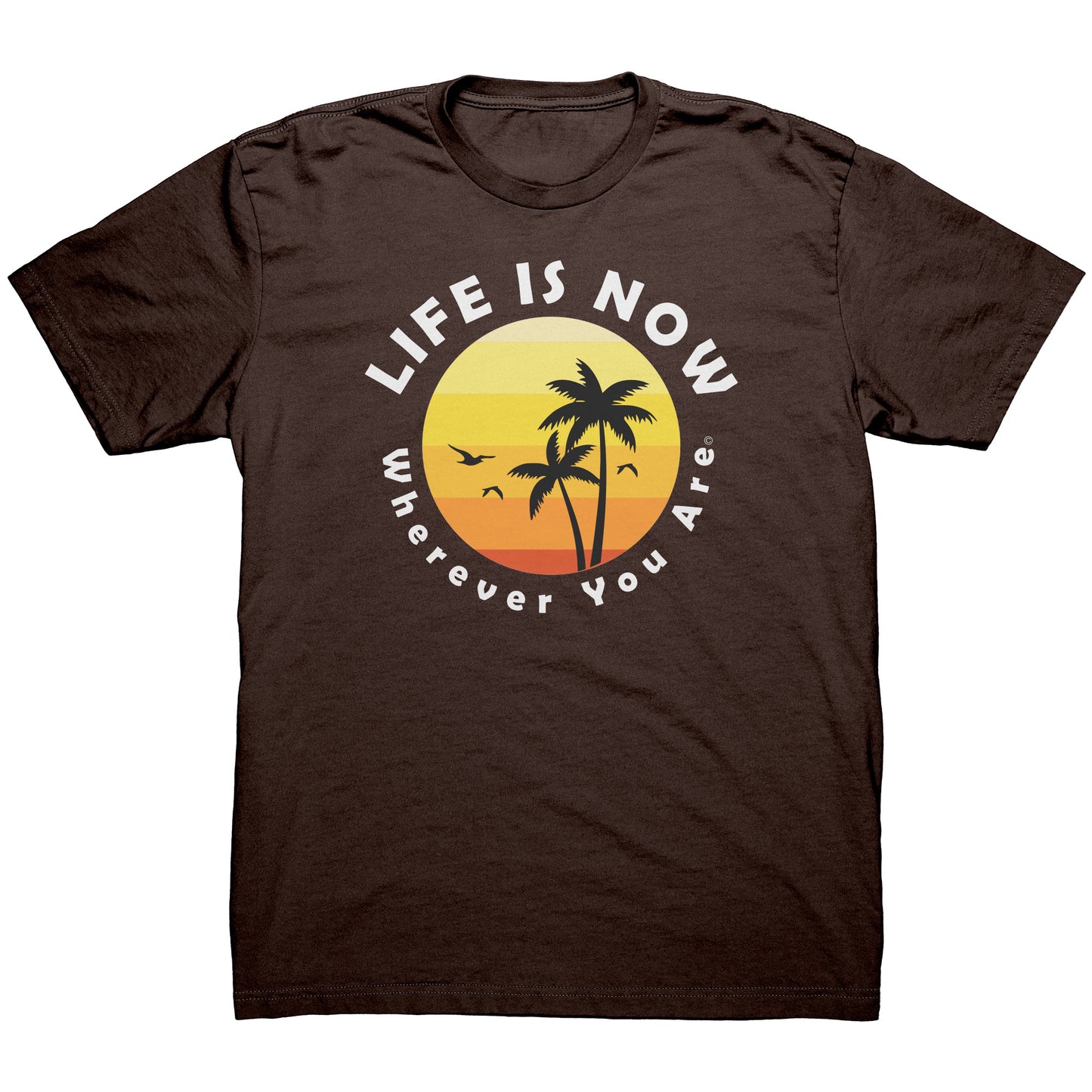 LiFE is NOW...Wherever You Are Palm Short Sleeve T-shirt (men’s light)