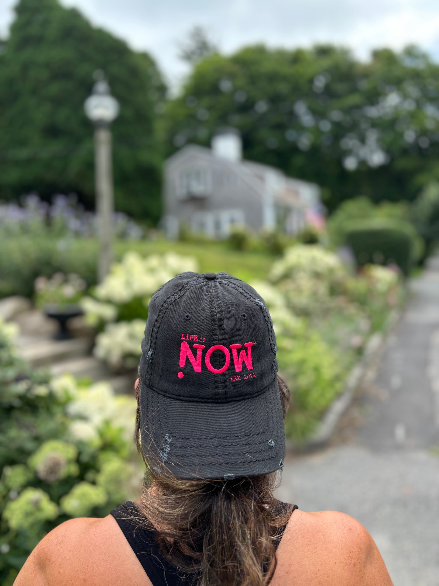 !N Cut Out USA Distressed Dad Hat