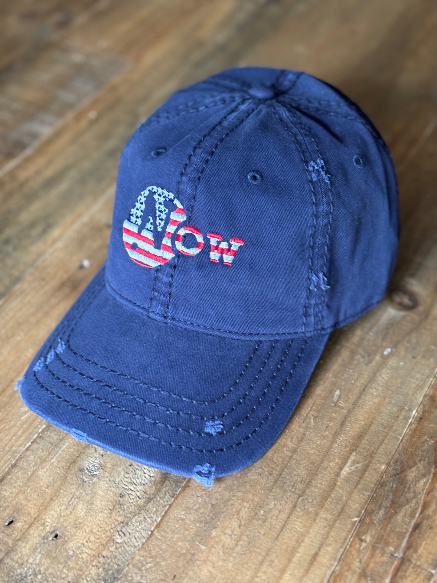 !N Cut Out USA Distressed Dad Hat