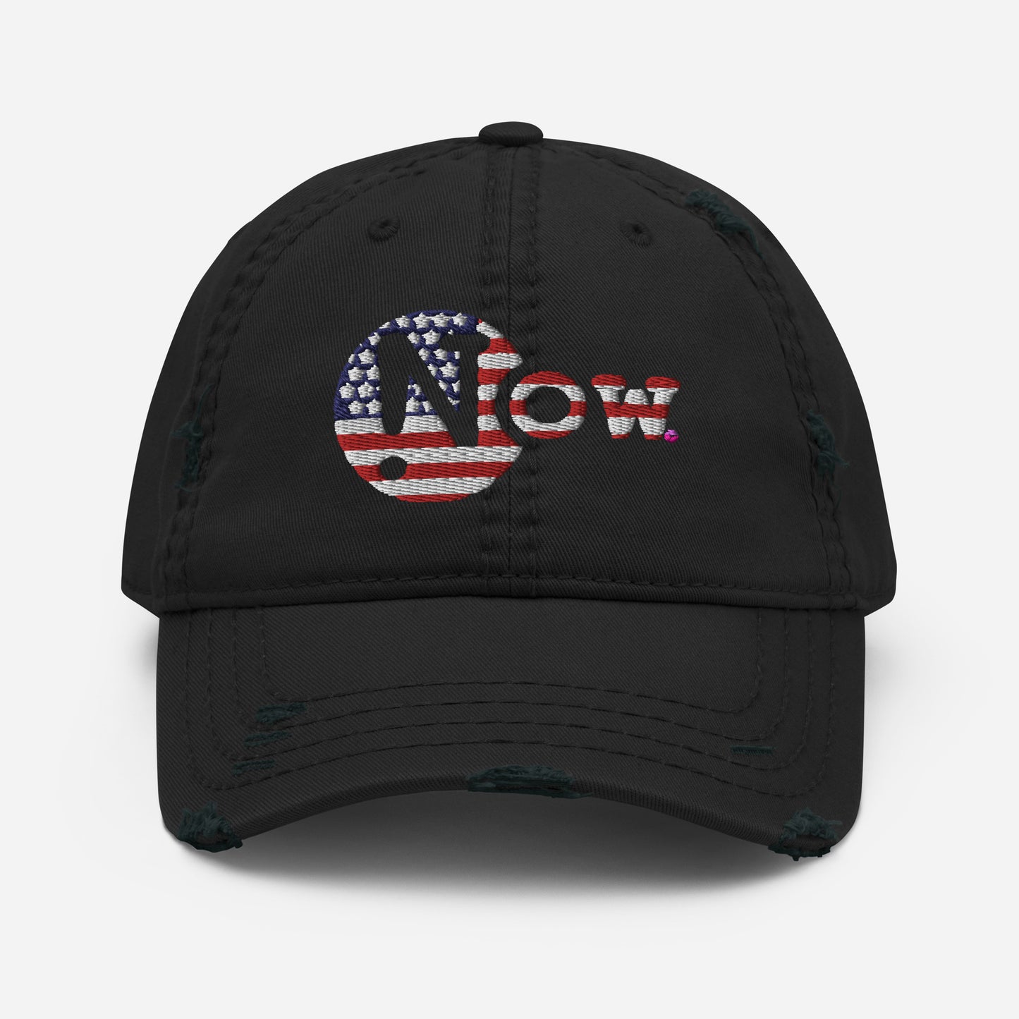 !N Cut Out USA Distressed Dad Hat