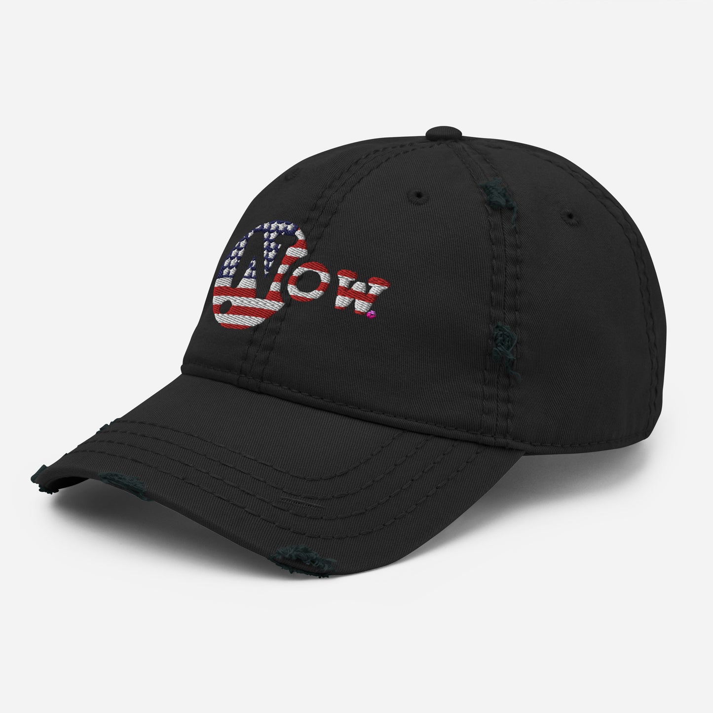 !N Cut Out USA Distressed Dad Hat