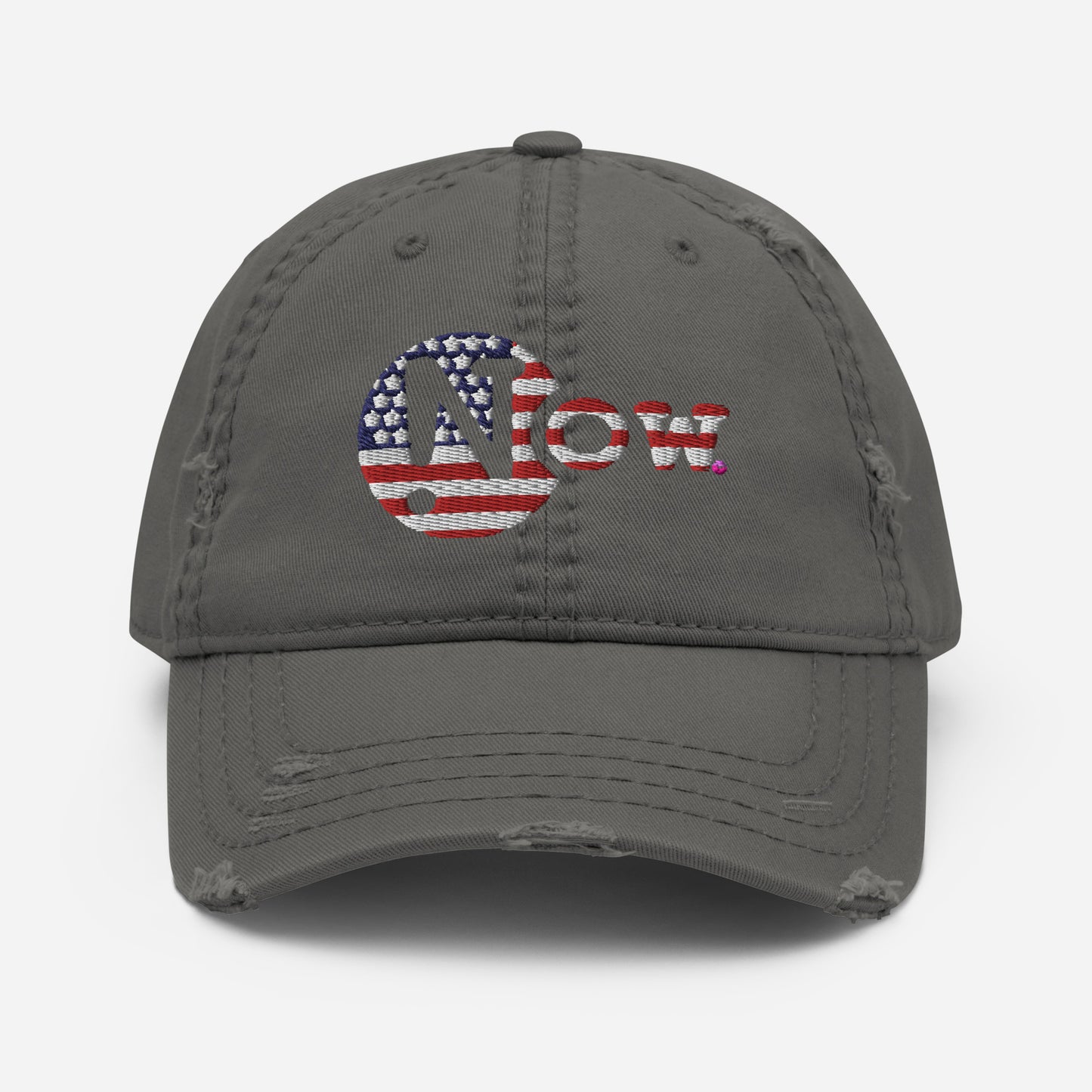 !N Cut Out USA Distressed Dad Hat