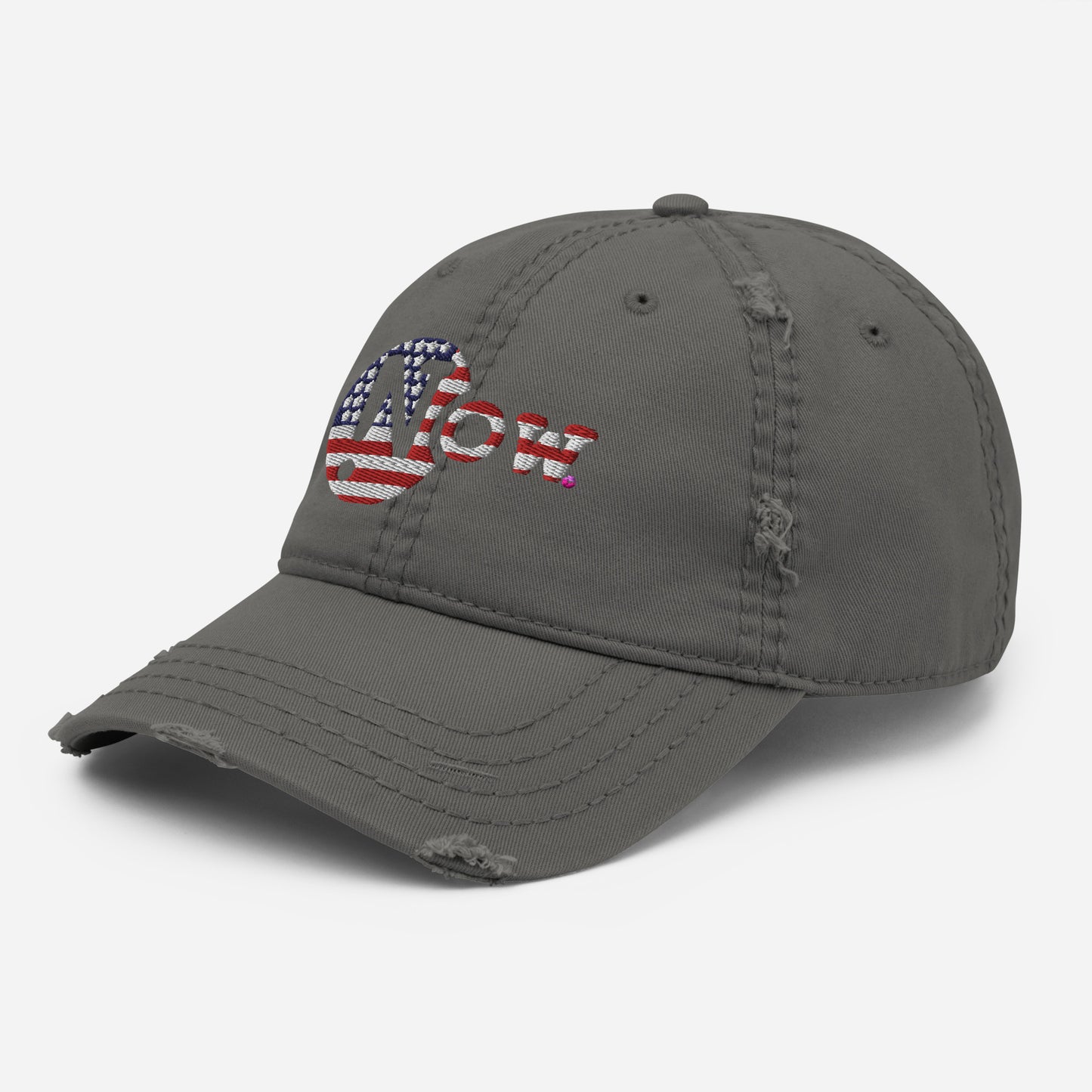 !N Cut Out USA Distressed Dad Hat