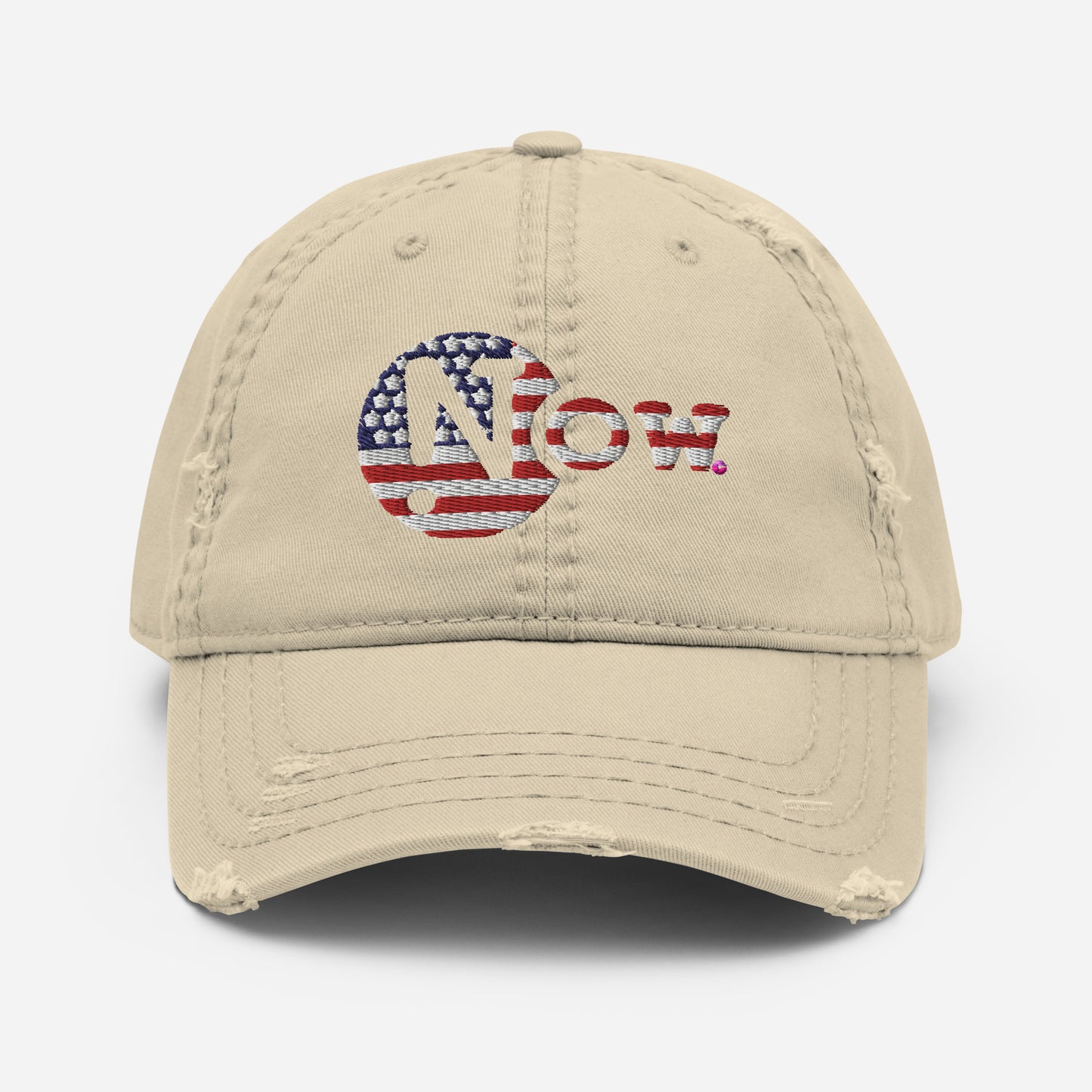 !N Cut Out USA Distressed Dad Hat