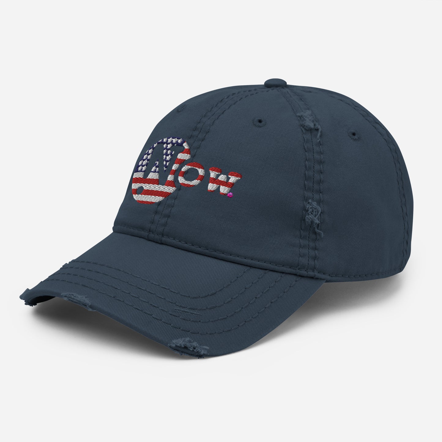 !N Cut Out USA Distressed Dad Hat