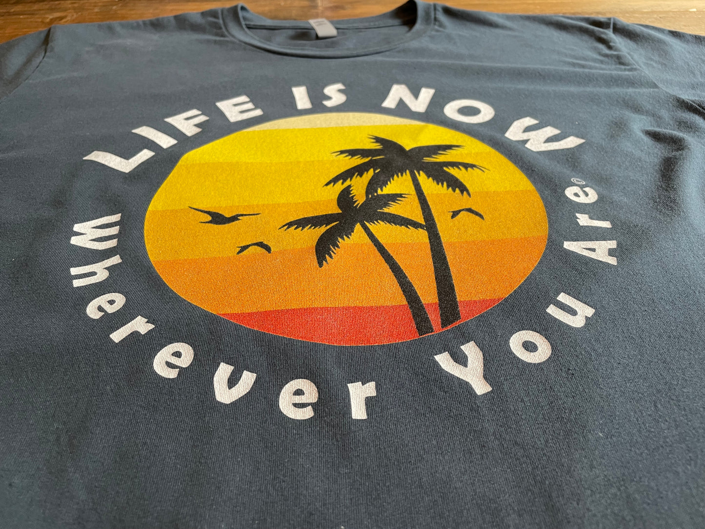 LiFE is NOW...Wherever You Are Palm Short Sleeve T-shirt (men’s light)