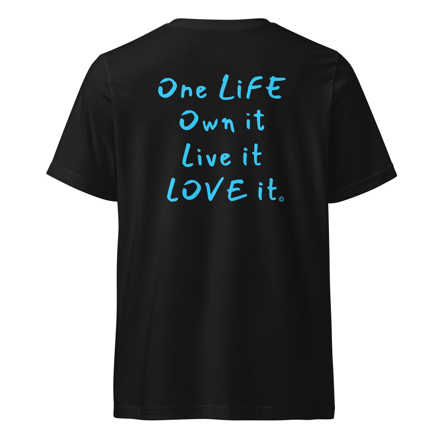 (The Mullet V-Tee) One Life, Own it, Live it Love it Unisex Short Sleeve V-Neck T-Shirt