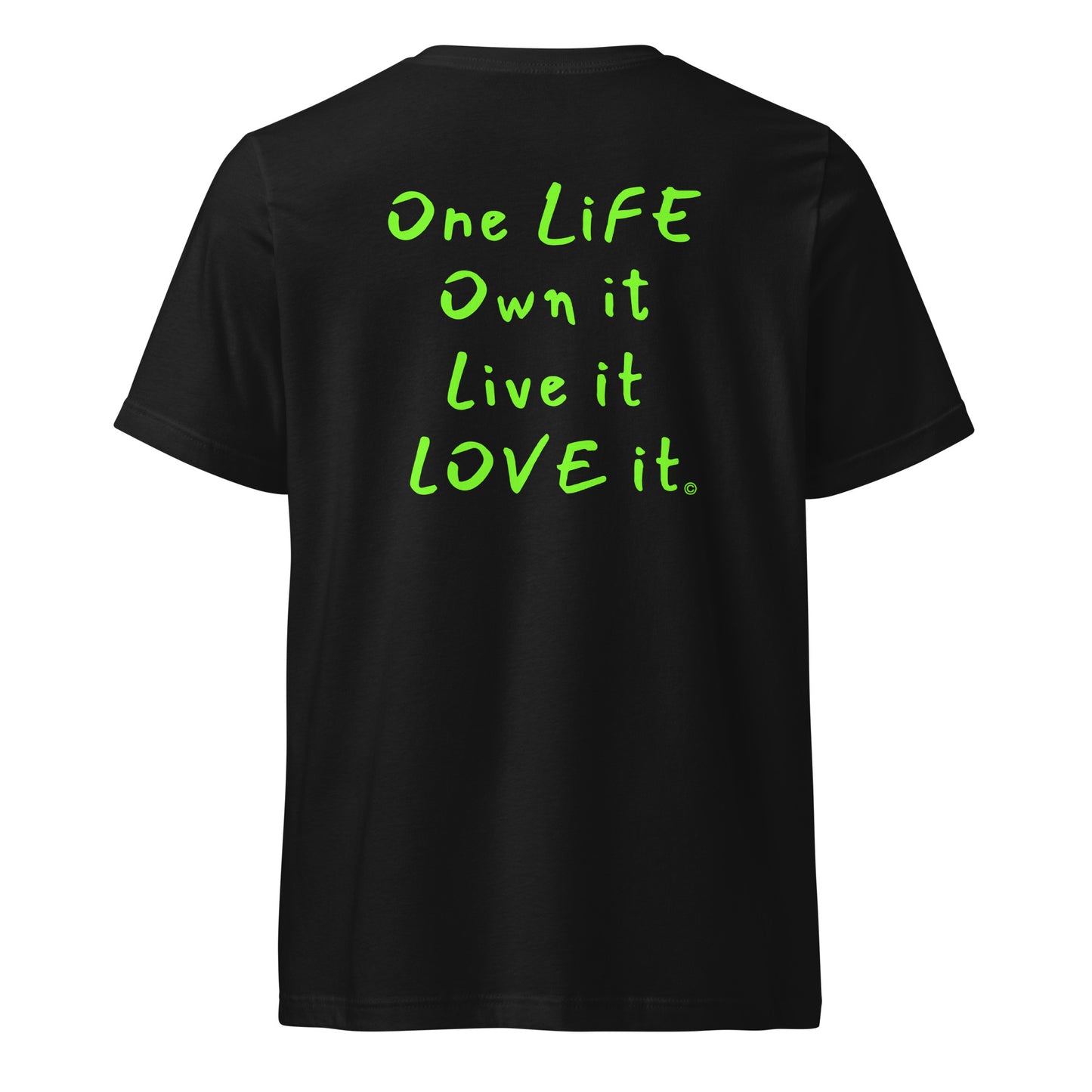 (The Mullet V-Tee) One Life, Own it, Live it Love it Unisex Short Sleeve V-Neck T-Shirt