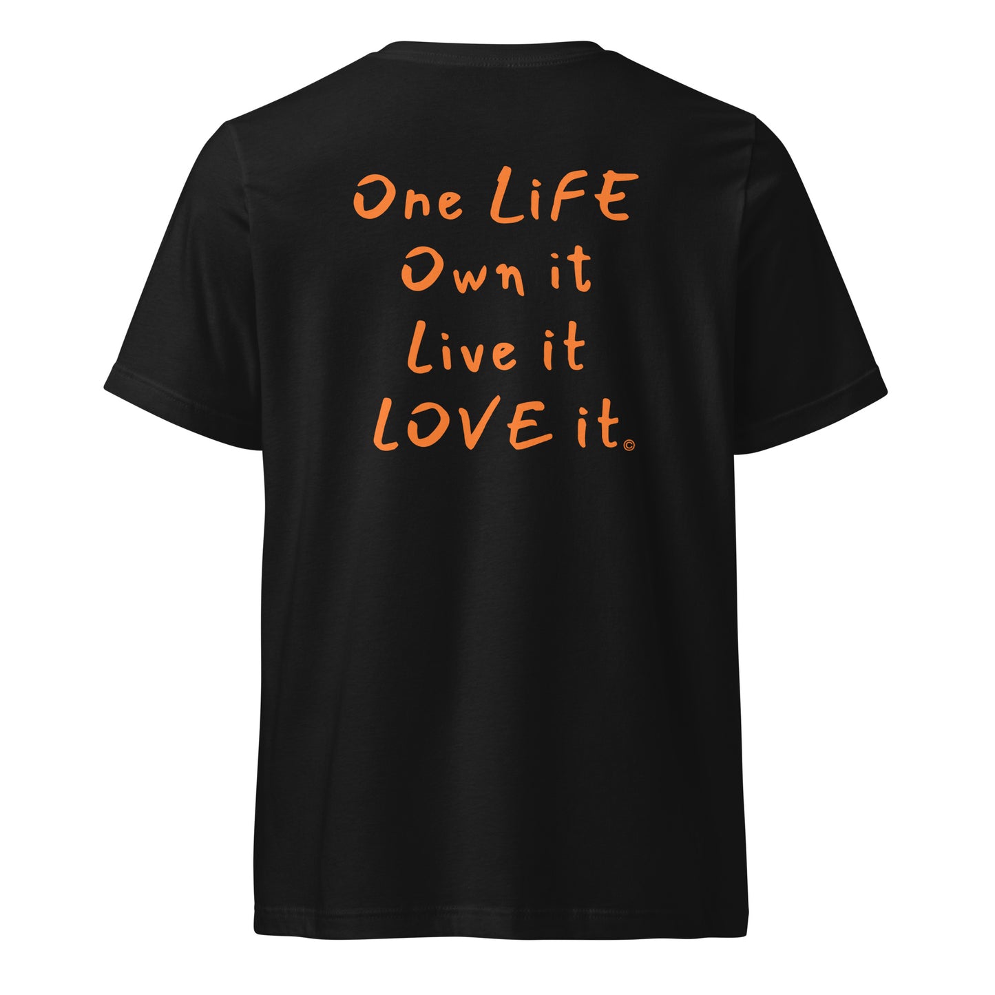 (The Mullet V-Tee) One Life, Own it, Live it Love it Unisex Short Sleeve V-Neck T-Shirt