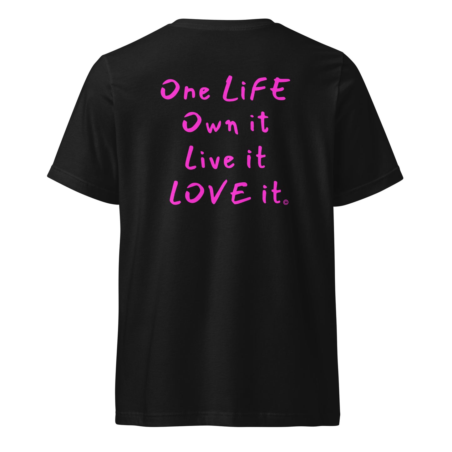(The Mullet V-Tee) One Life, Own it, Live it Love it Unisex Short Sleeve V-Neck T-Shirt