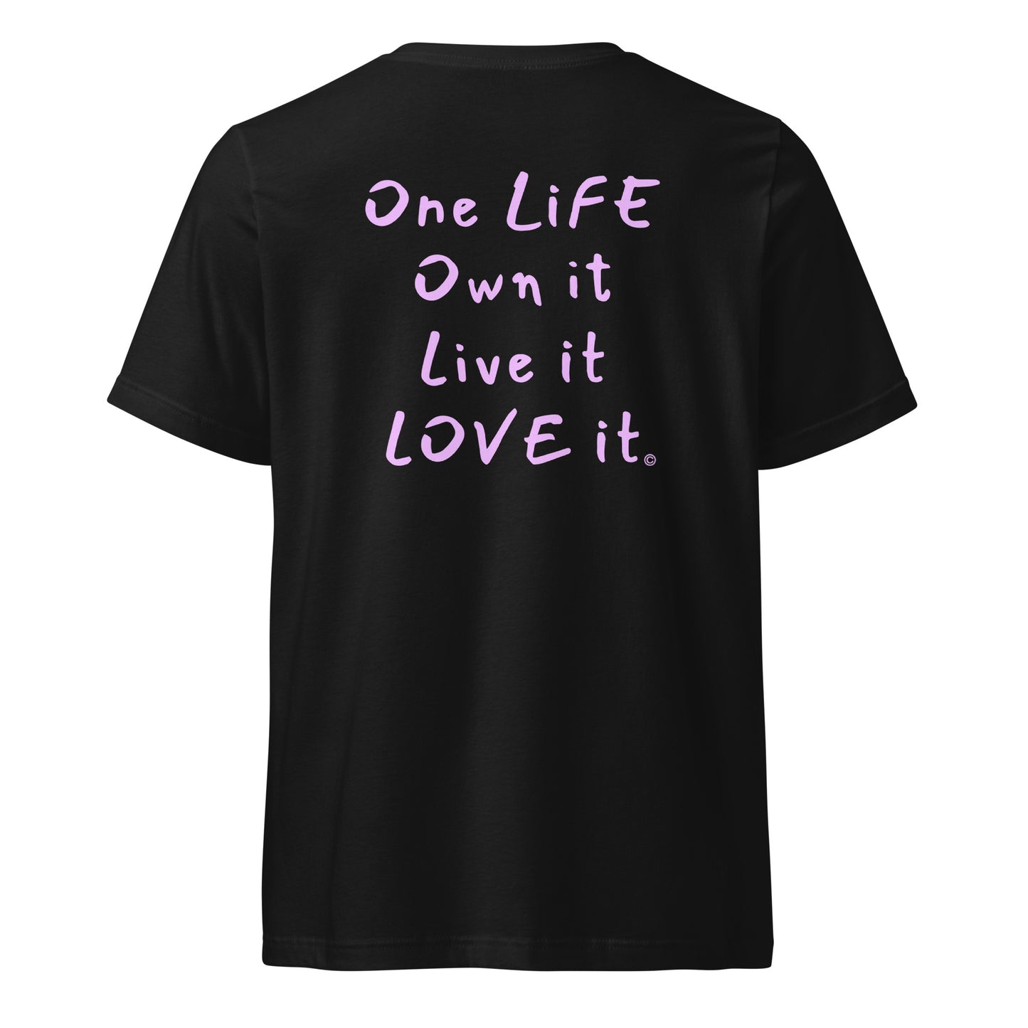 (The Mullet V-Tee) One Life, Own it, Live it Love it Unisex Short Sleeve V-Neck T-Shirt