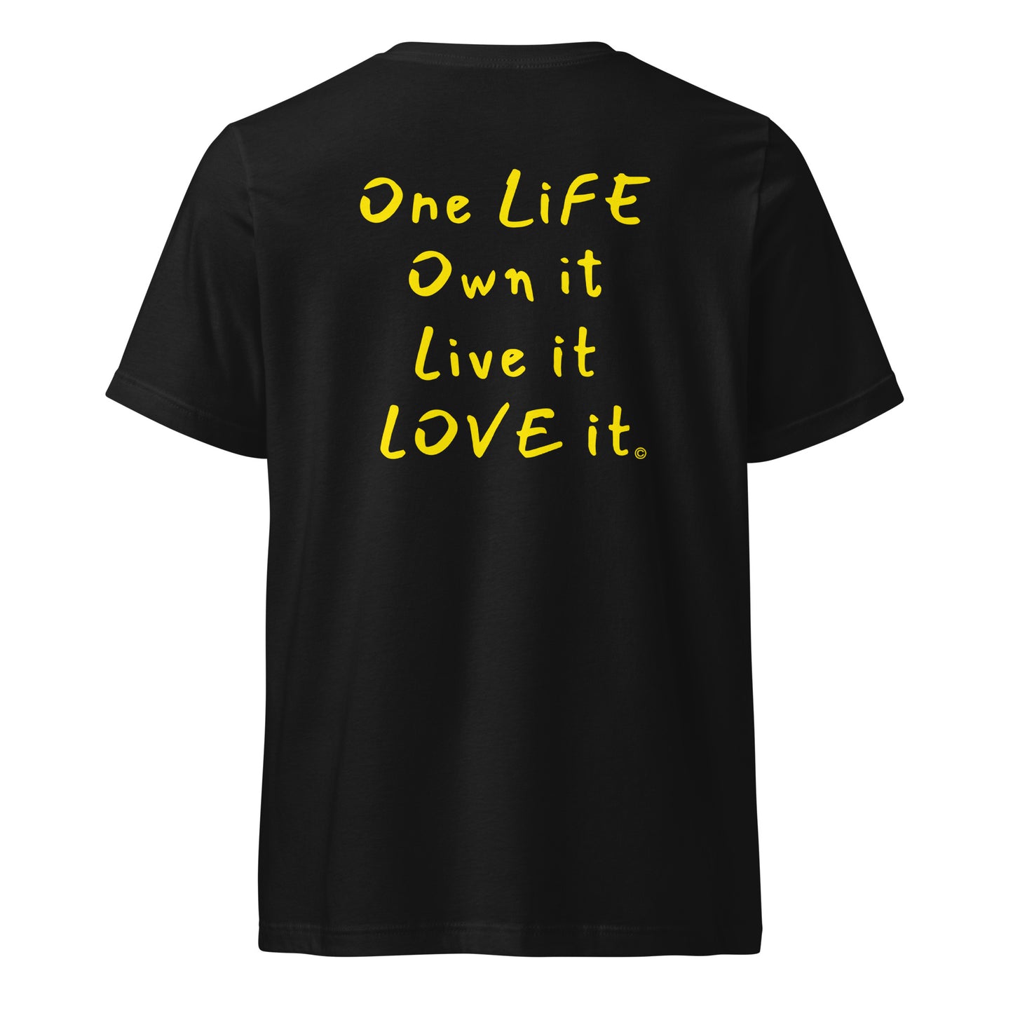 (The Mullet V-Tee) One Life, Own it, Live it Love it Unisex Short Sleeve V-Neck T-Shirt