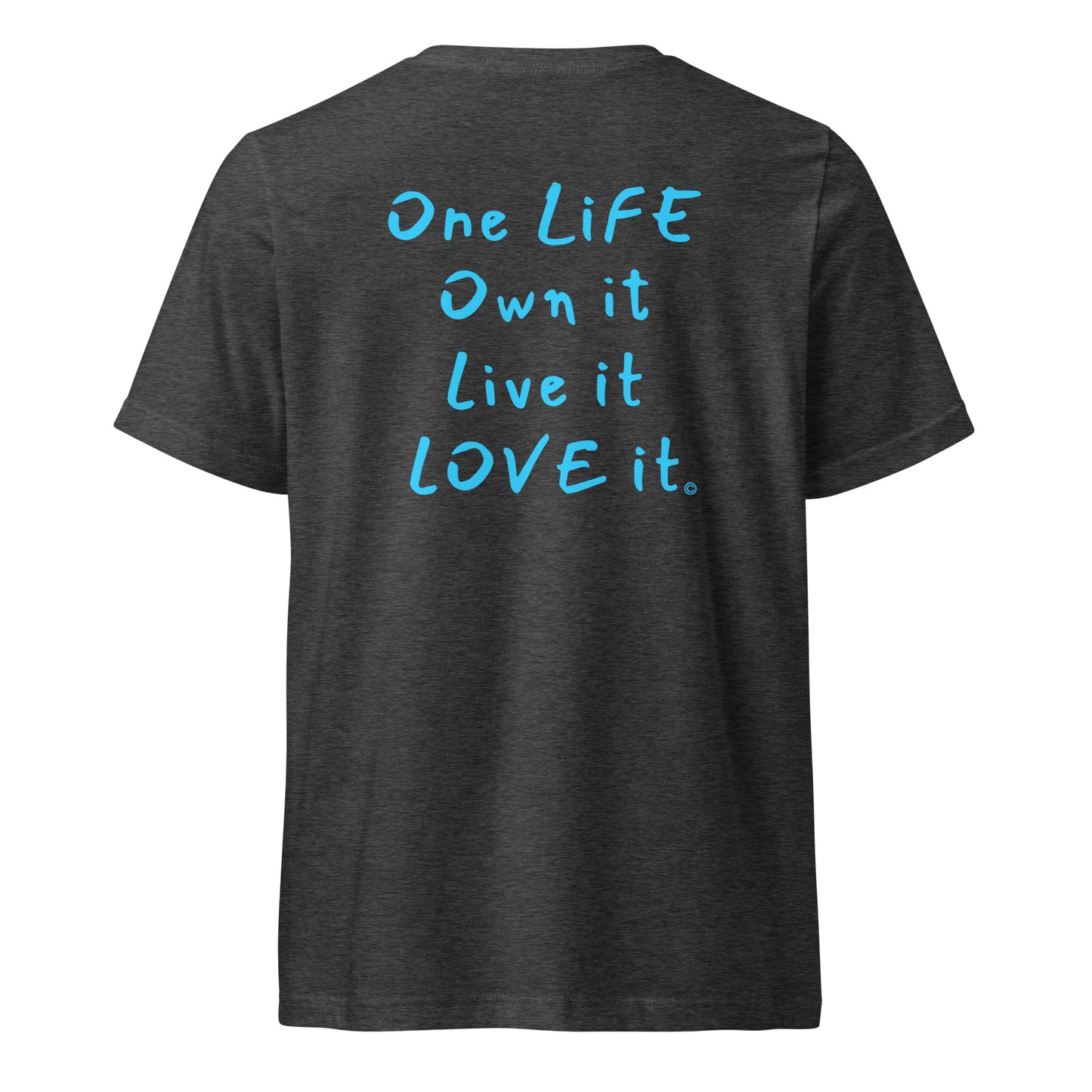 (The Mullet V-Tee) One Life, Own it, Live it Love it Unisex Short Sleeve V-Neck T-Shirt