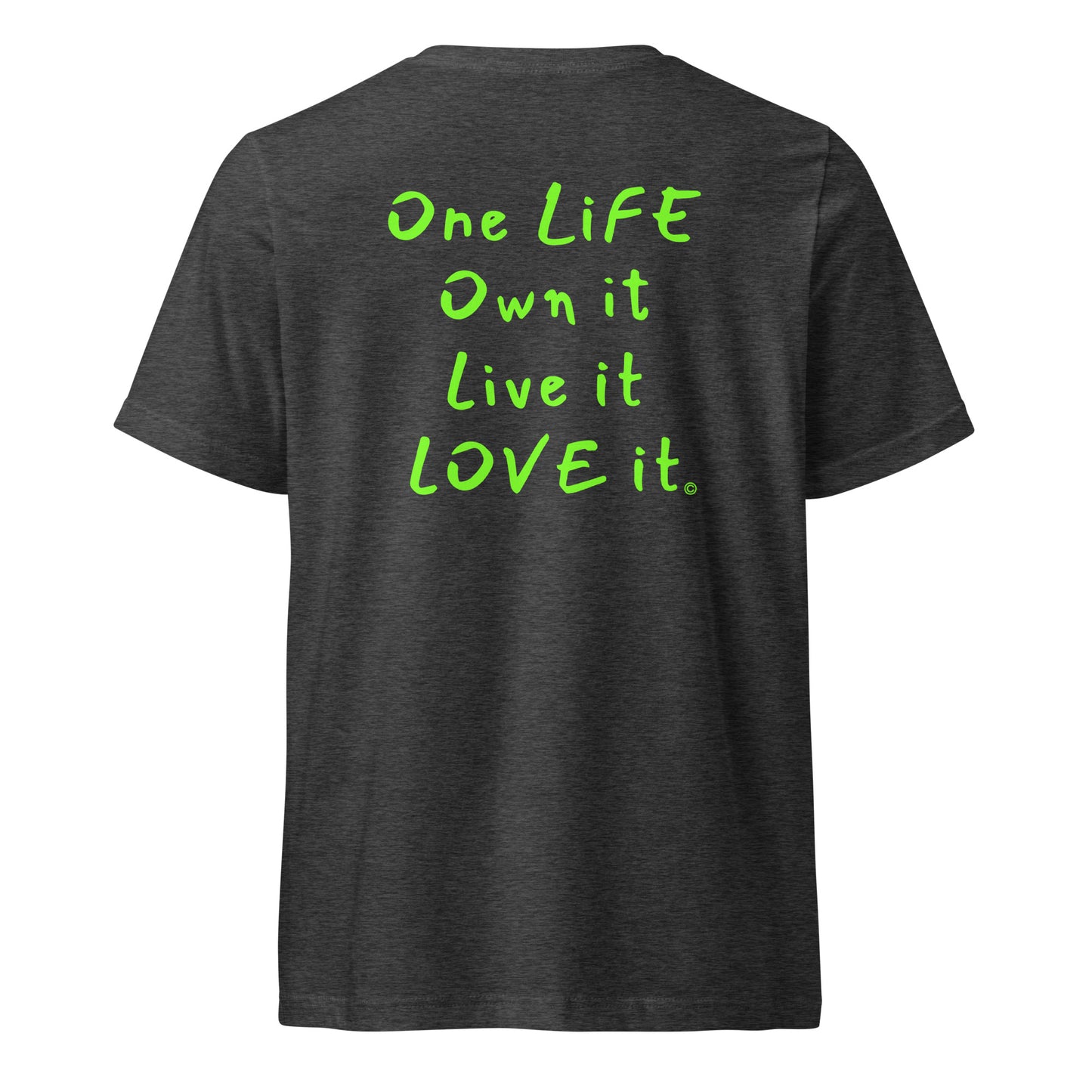 (The Mullet V-Tee) One Life, Own it, Live it Love it Unisex Short Sleeve V-Neck T-Shirt