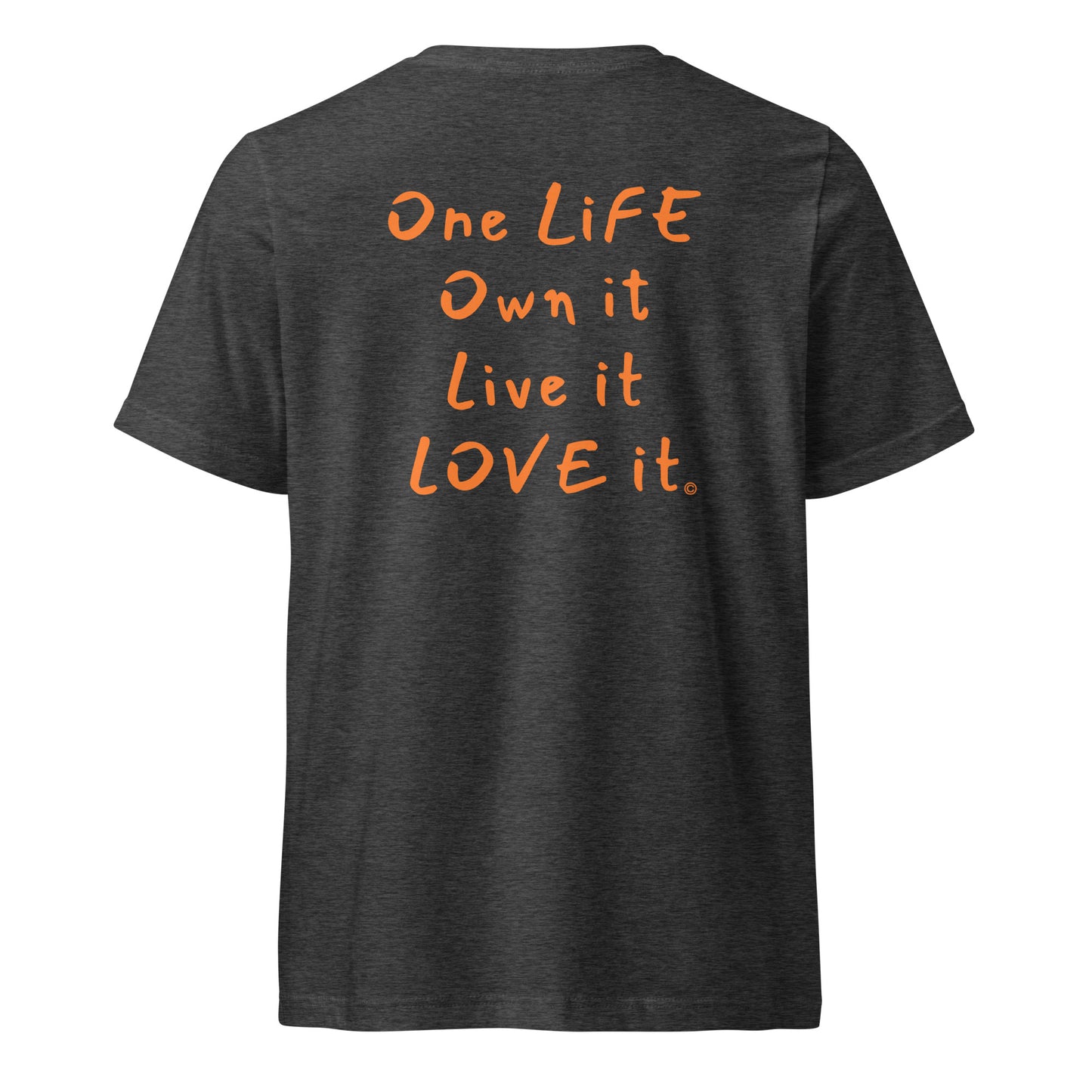 (The Mullet V-Tee) One Life, Own it, Live it Love it Unisex Short Sleeve V-Neck T-Shirt