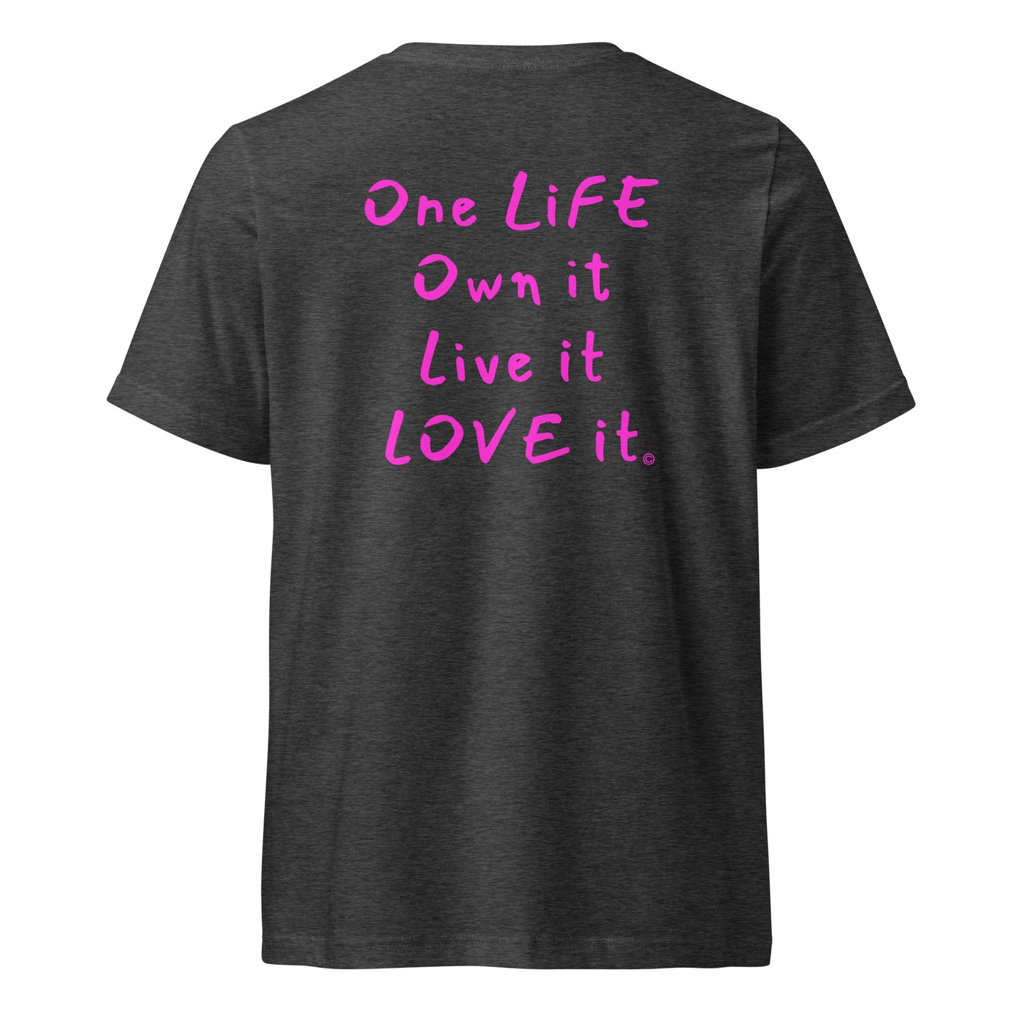 (The Mullet V-Tee) One Life, Own it, Live it Love it Unisex Short Sleeve V-Neck T-Shirt