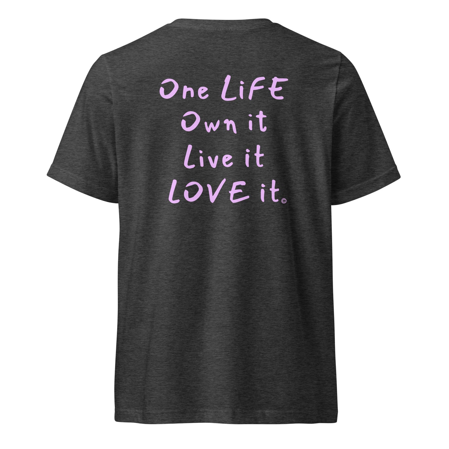(The Mullet V-Tee) One Life, Own it, Live it Love it Unisex Short Sleeve V-Neck T-Shirt