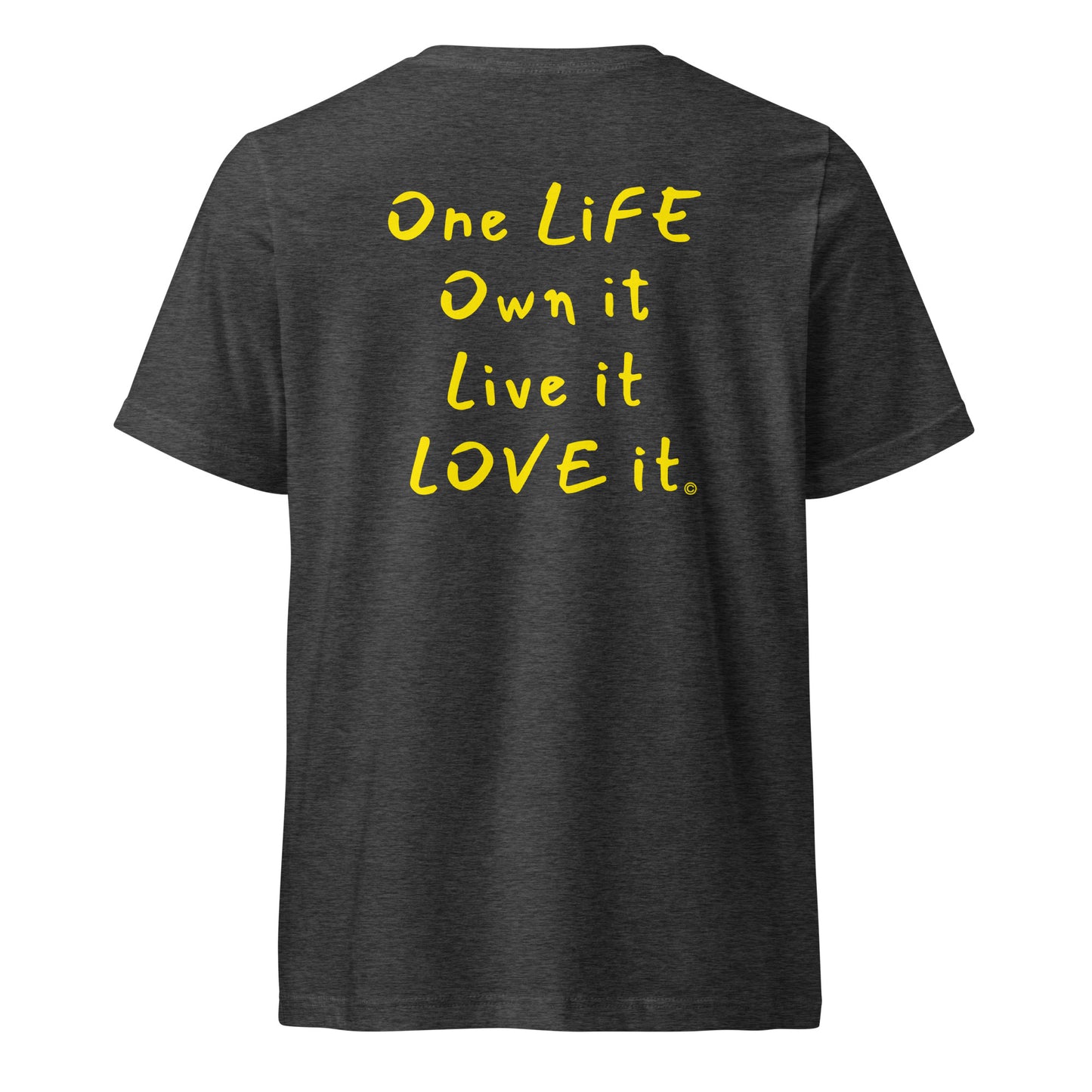 (The Mullet V-Tee) One Life, Own it, Live it Love it Unisex Short Sleeve V-Neck T-Shirt