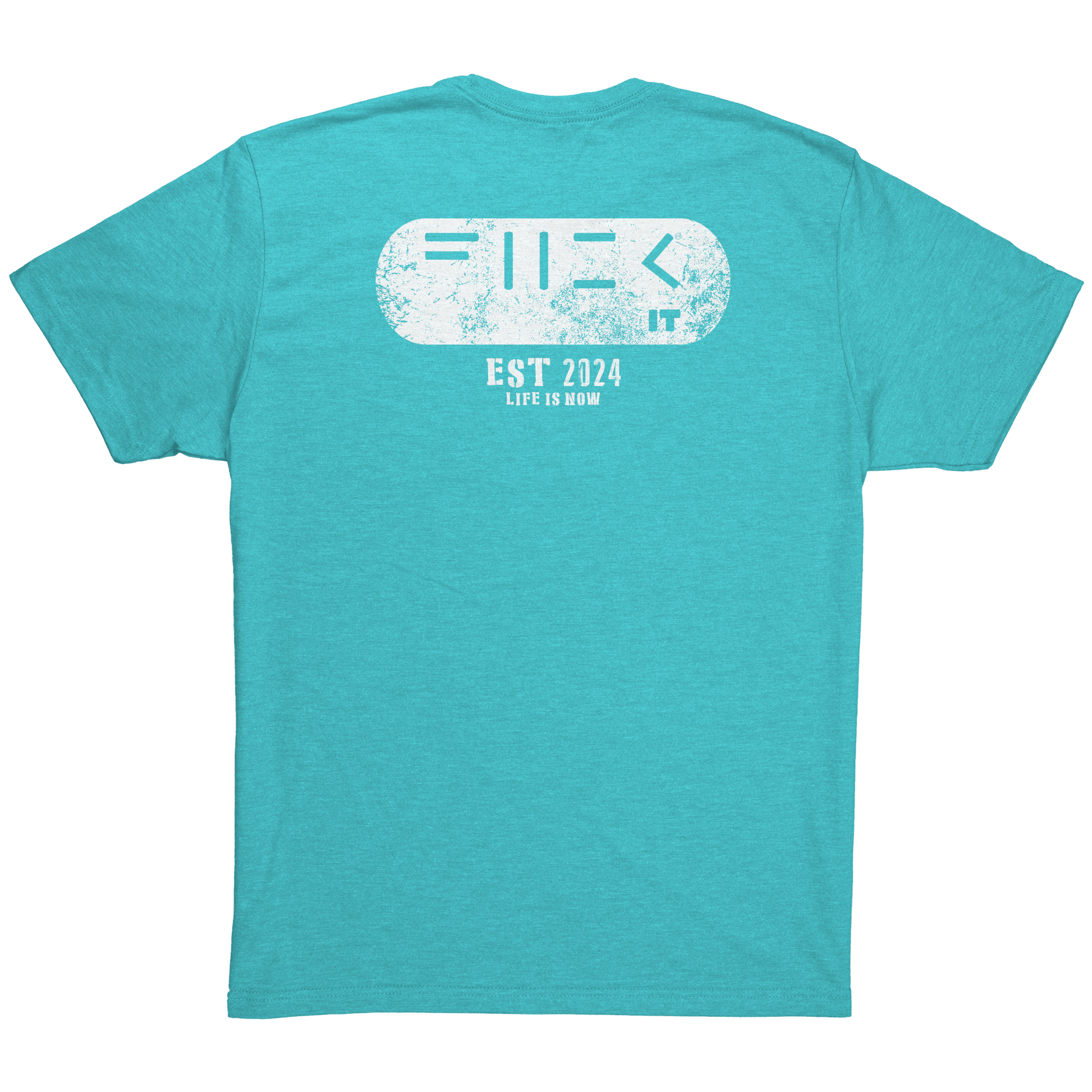 Fuck_it_Patch_Tee_Tahiti_Blue_Back_Mockup.png