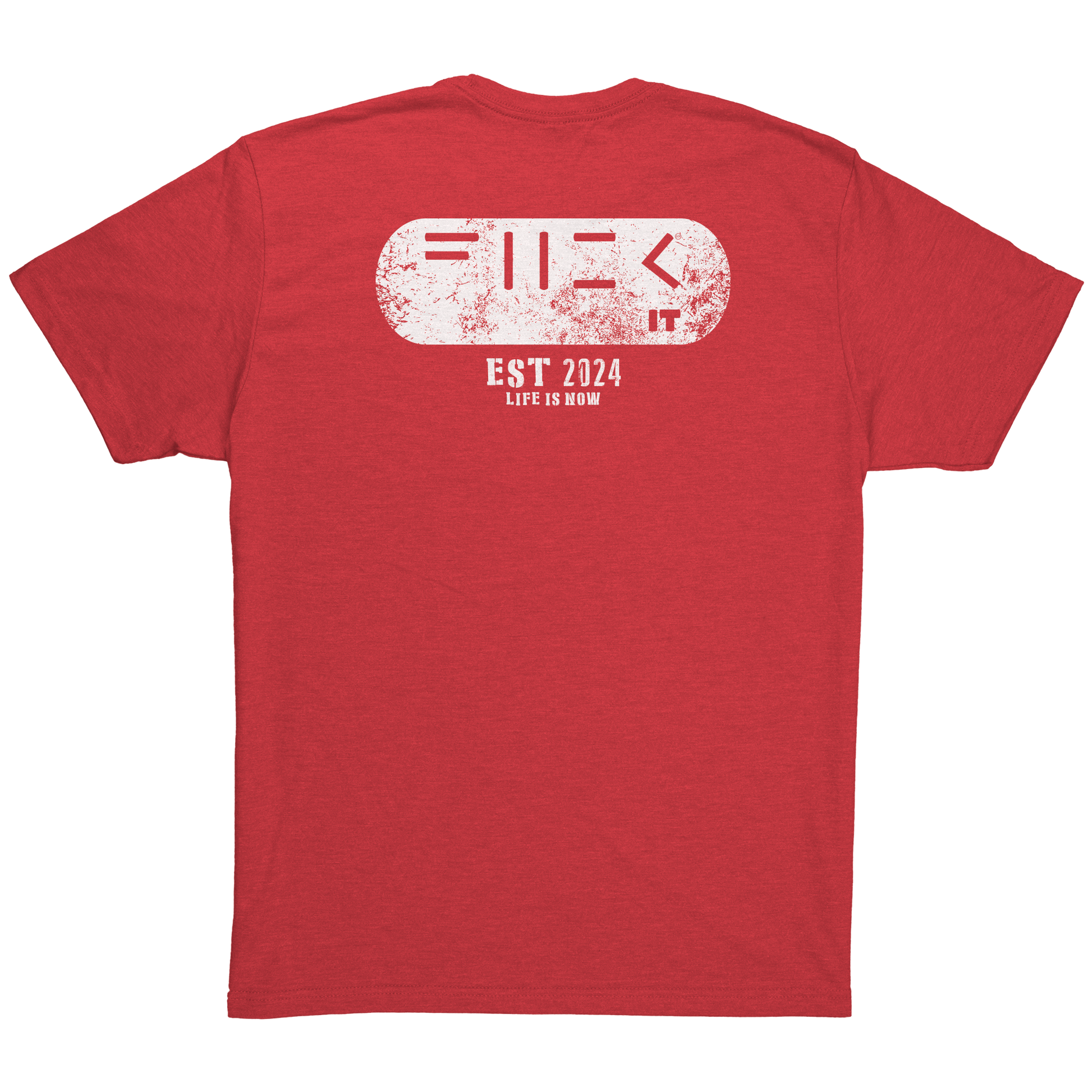 Fuck_it_Patch_Tee_Vintage_Red_Back_Mockup.png