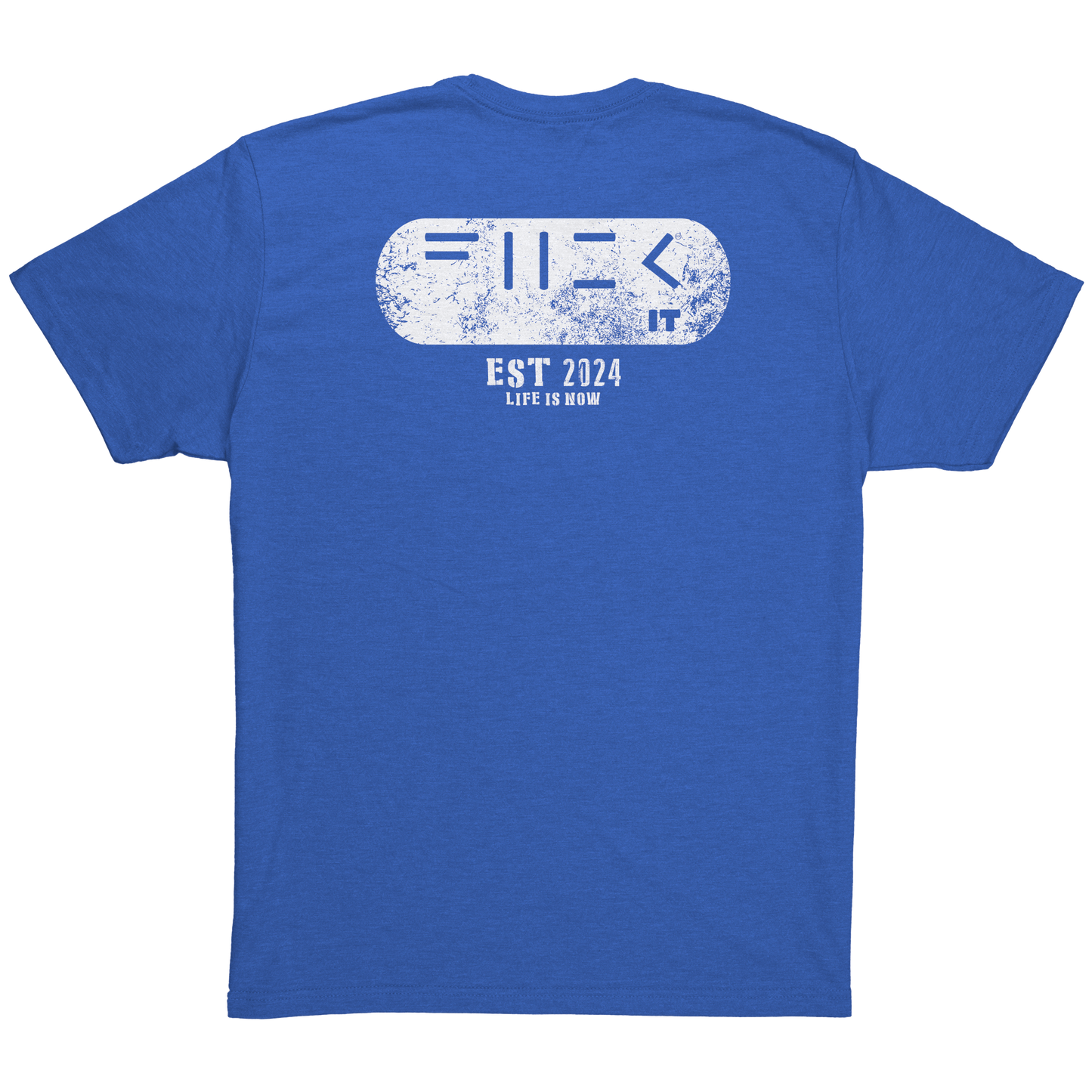 Fuck_it_Patch_Tee_Vintage_Royal_Back_Mockup.png