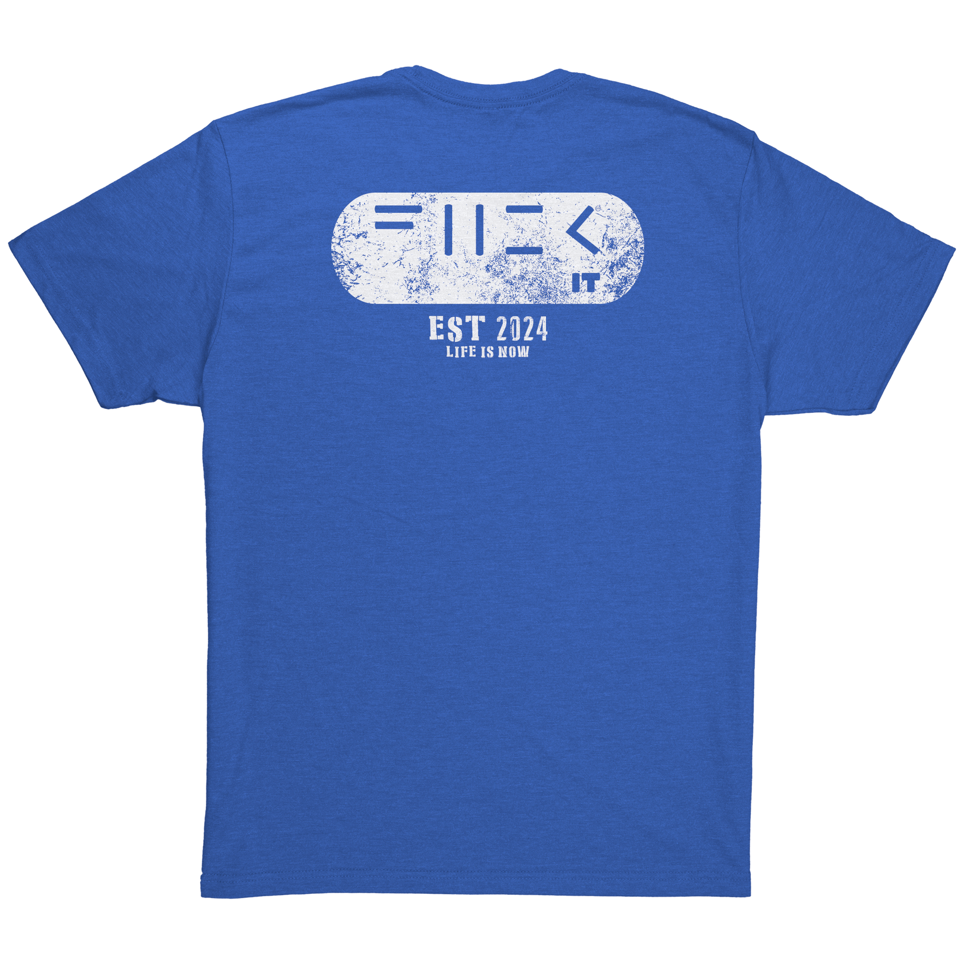 Fuck_it_Patch_Tee_Vintage_Royal_Back_Mockup.png