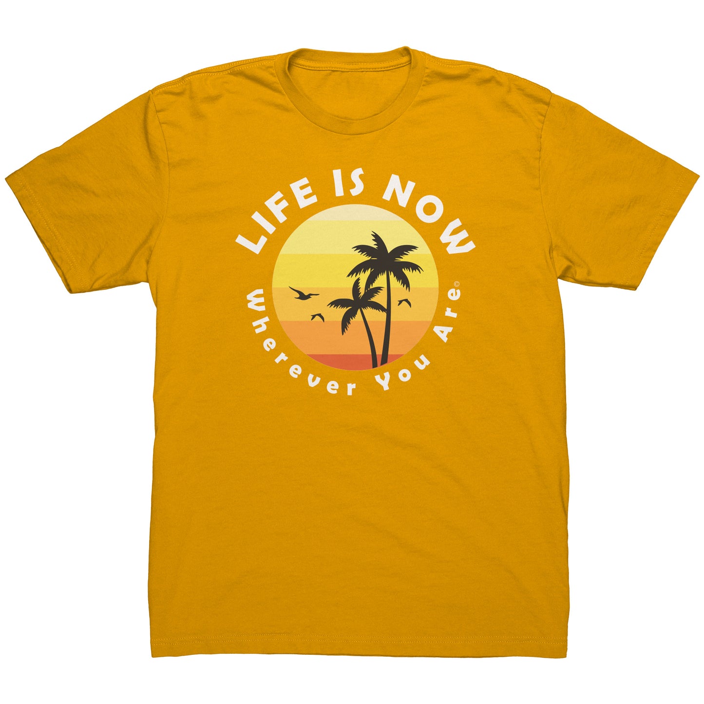 LiFE is NOW...Wherever You Are Palm Short Sleeve T-shirt (men’s light)