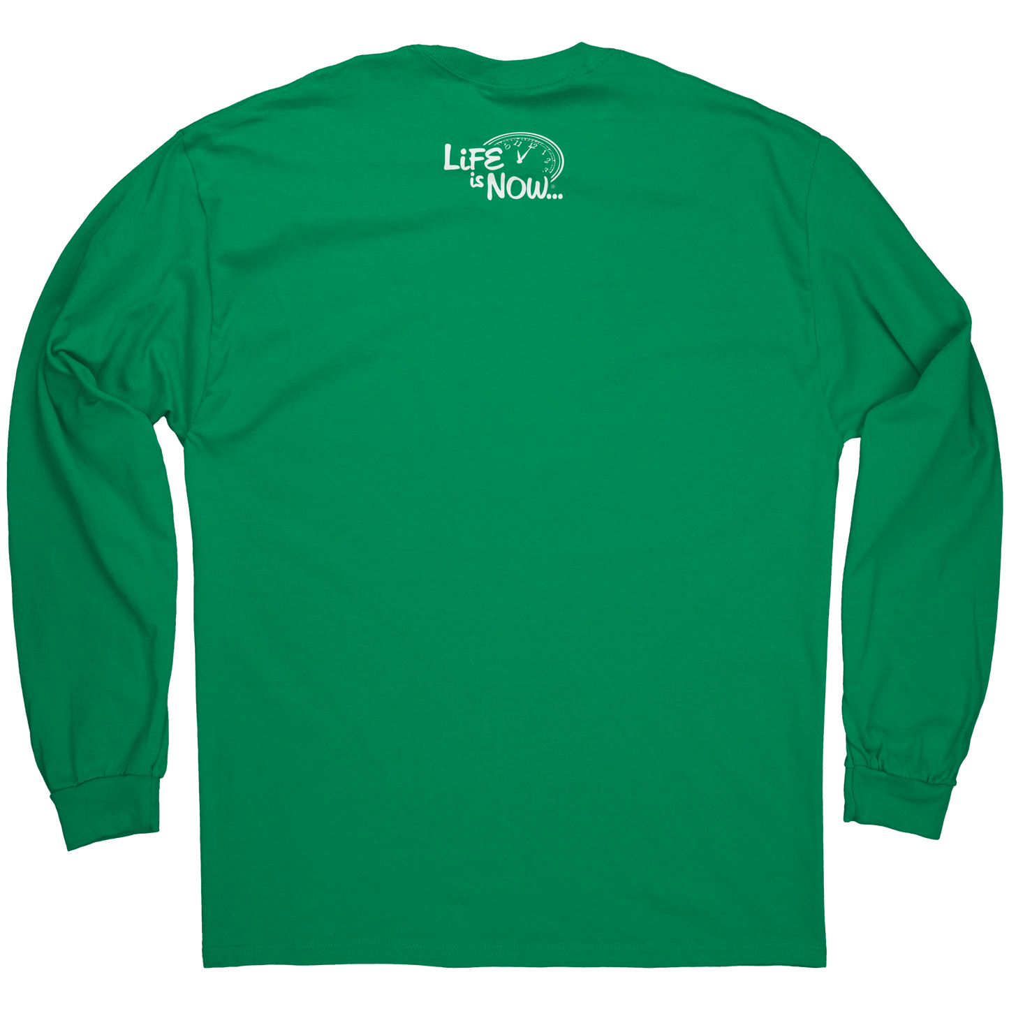 Slainte_before_the_devil_knows_longslee_Kelly_Green_Back_Mockup.png