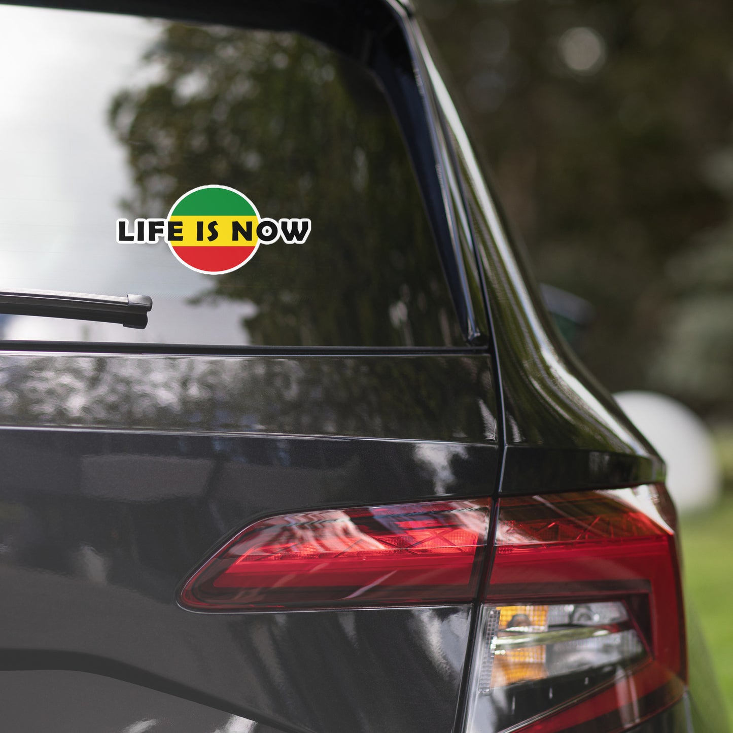 LiFE is NOW...Chevron Rasta Sticker