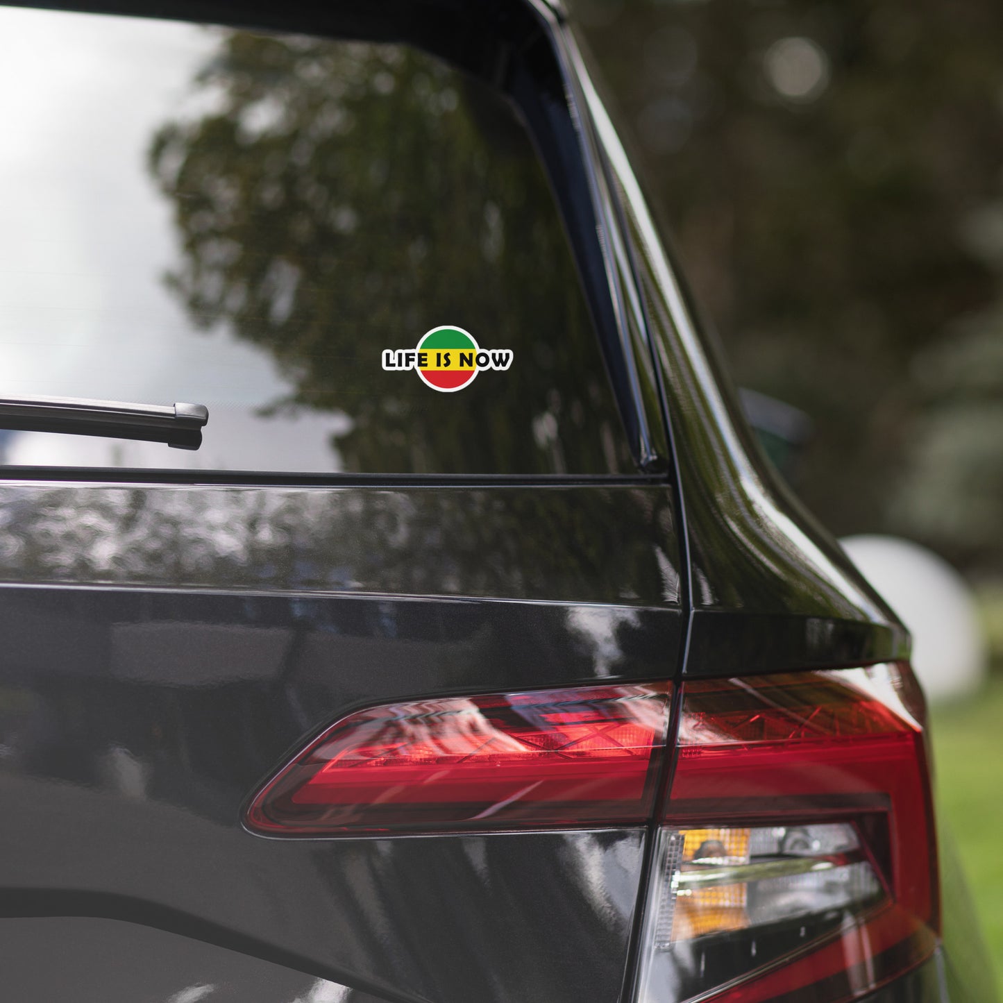 LiFE is NOW...Chevron Rasta Sticker