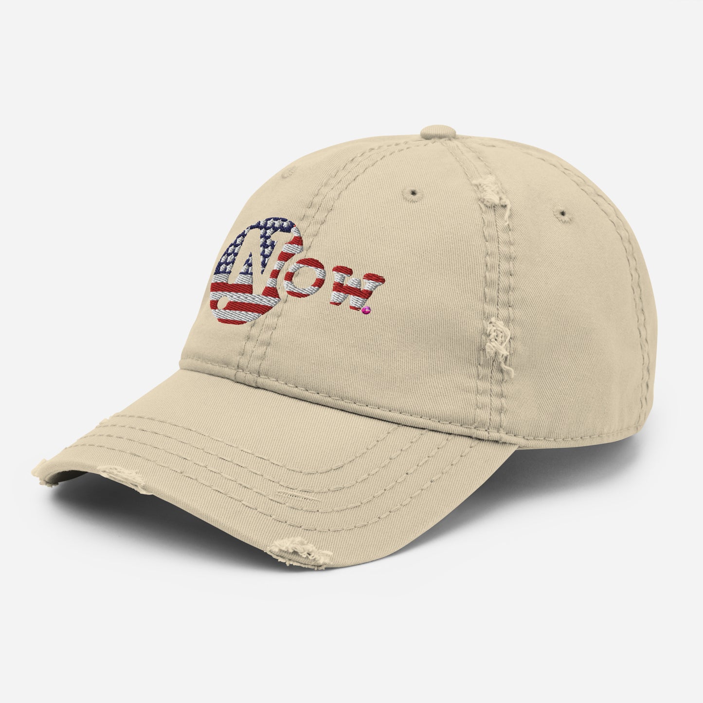 !N Cut Out USA Distressed Dad Hat
