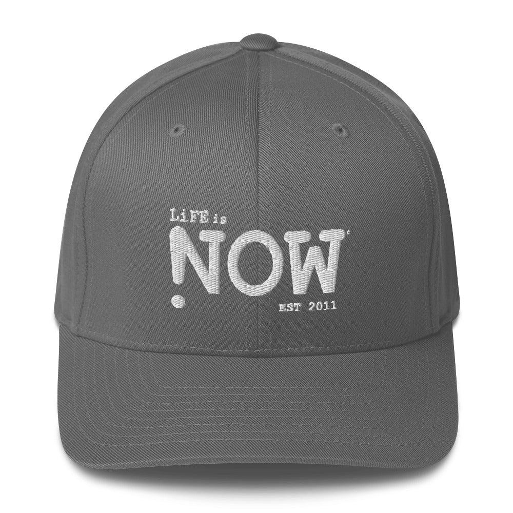 LiFE is NOW Flexfit Elastic Back Structured Twill Cap